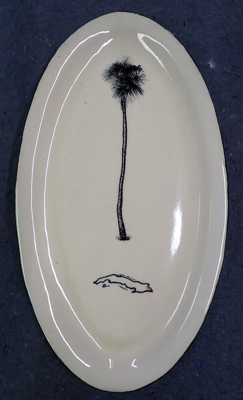 Botanical specimen of Coccothrinax Alexandri.