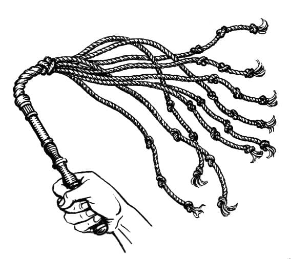 Botanical specimen of Hydriastele Wendlandiana.