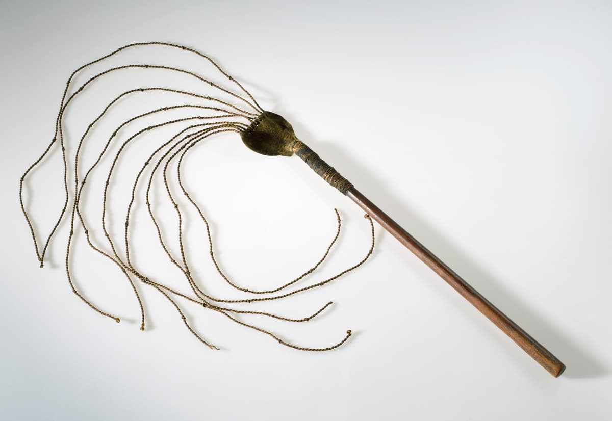 Botanical specimen of Hydriastele Wendlandiana.