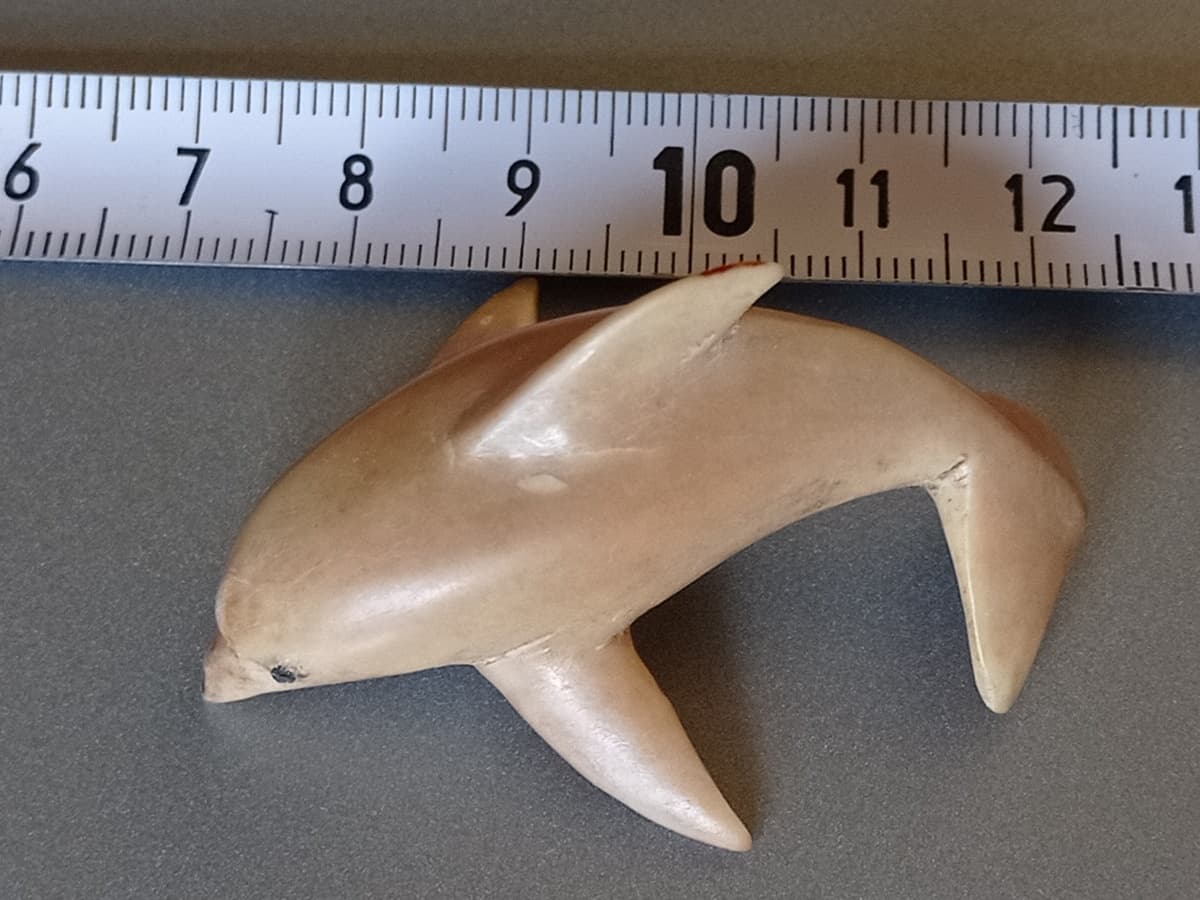 Botanical specimen of Metroxylon Warburgii.